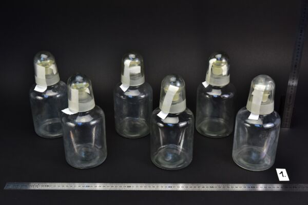 6-Piece Set of 1-Litre Clear Acid Bottles with Ground-Glass Stoppers and Glass Protective Caps – Glassworks Find, No. 1 6-Piece Set of 1-Litre Clear Acid Bottles with Ground-Glass Stoppers and Glass Protective Caps – Glassworks Find, No. 1