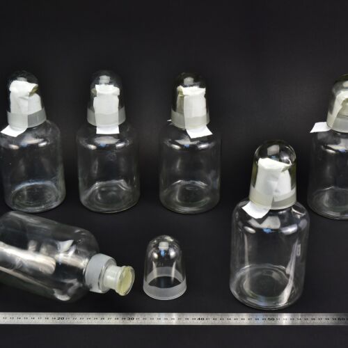 6-Piece Set of 1-Litre Clear Acid Bottles with Ground-Glass Stoppers and Glass Protective Caps – Glassworks Find, No. 11 6-Piece Set of 1-Litre Clear Acid Bottles with Ground-Glass Stoppers and Glass Protective Caps – Glassworks Find, No. 11