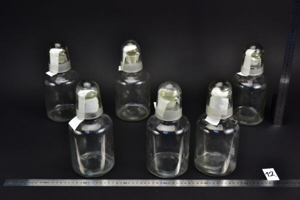 6-Piece Set of 1-Litre Clear Acid Bottles with Ground-Glass Stoppers and Glass Protective Caps – Glassworks Find, No. 12 6-Piece Set of 1-Litre Clear Acid Bottles with Ground-Glass Stoppers and Glass Protective Caps – Glassworks Find, No. 12