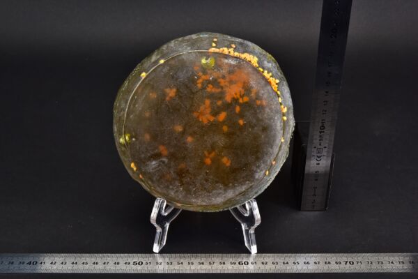 Flat glass disc with yellow granular inclusions Flat glass disc with yellow granular inclusions