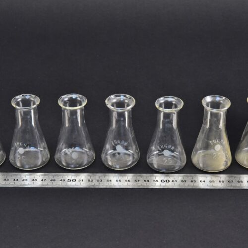 Hétdarabos ERGON Erlenmeyer-lombik-készlet, 25 ml