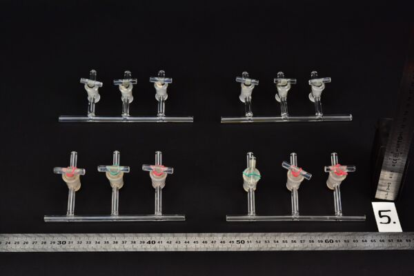 Set of four three-port laboratory glass manifolds with glass stopcocks – No. 5 Set of four three-port laboratory glass manifolds with glass stopcocks – No. 5